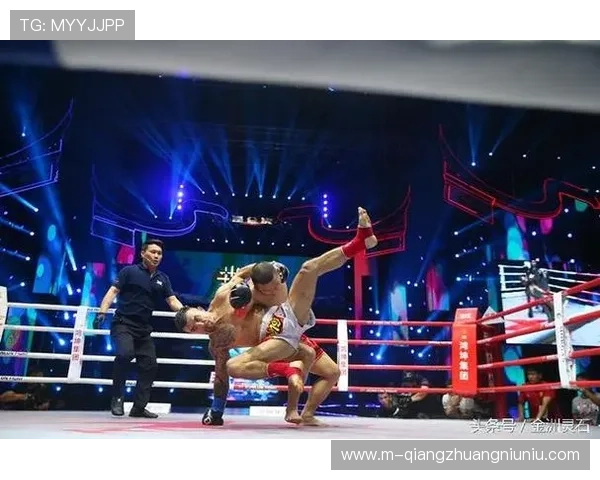 法国悍将贝诺伊特·圣·丹尼斯首回合16秒KO本尼尔·大流士